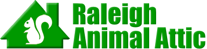 Raleigh Animal Attic